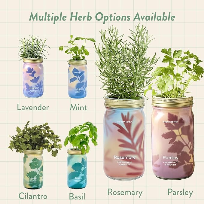Modern Sprout Garden Jar & Herb Stripper Bundle Self-Watering Herb Grow Kit w/Recyclable Mason Jar + 3-in-1 Prep Peeler & Grater Plate - Indoor Gardening - Gift for Mother's Day (Rosemary & Parsley)