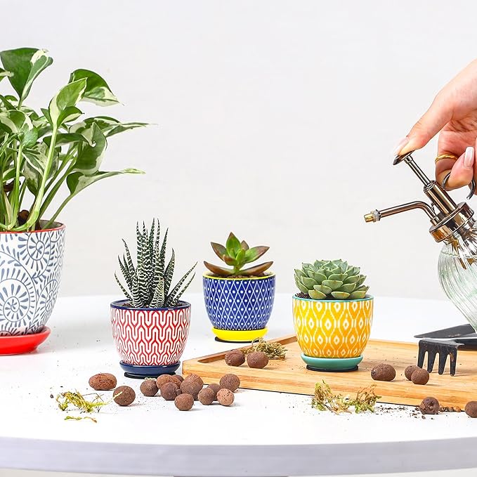 Selamica Ceramic 2.4 Inch Succulent Pots, Mini Flower Pots for Cactus Plant with Drainage Holes & Saucers, Home Decor, Set of 6, Assorted Colors