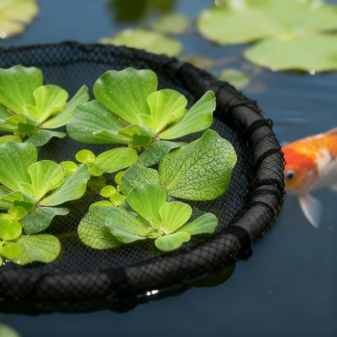 2 Pieces Round Floating Plant Fish Barrier Floating Plant Island Floating Island Plant Protector Pond Plant Protector Protect Your Floating Plants from Pond Fish