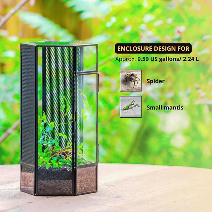 NCYP Small Glass Terrarium with Mesh and Door for Spiders, Hexagon Shape Small Mantis Vented Glass Terrarium 4.9'' x 4.3'' x 9.4'', Tabletop Decor, Black (Plants Not Include)