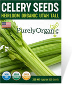 Organic Utah Tall Celery Seeds - USDA Organic, Non-GMO, Open Pollinated, Heirloom, USA Origin (1 Packet - 250 MG - Approx 500 Seeds)