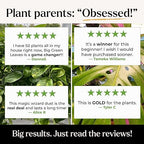 Big Green Leaves Indoor Plant Food – 4X Concentrated Houseplant Fertilizer with Sea Kelp – Makes 90 Gallons – Fast-Acting Mineral Formula, Made in USA (1 lb)