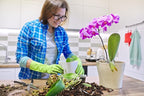 Sun Bulb 5011 Better-Gro Phalaenopsis Mix, 8 Quarts (Pack of 9)