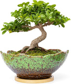 ARTKETTY Bonsai Pots, 9.06 Inch Succulent Pots with Drainage and Saucer, Ceramic Pots for Indoor Cactus Plants Unique Flower Plant Pots Round Bonsai Tree Planters Windowsill Desk Decor
