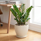 Ceramic Plant Pots, 10 Inch Pots for Plants with Drainage Hole and Saucer, Round Flower Pot for Indoor Plants, Decorative Indoor Planter, House Porch Decor, House Warming Gifts, Cream White