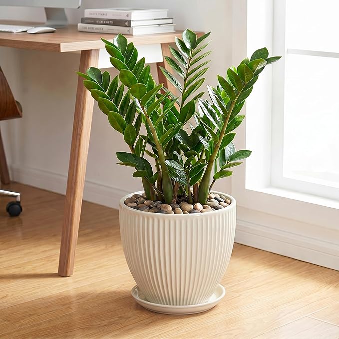 Ceramic Plant Pots, 10 Inch Pots for Plants with Drainage Hole and Saucer, Round Flower Pot for Indoor Plants, Decorative Indoor Planter, House Porch Decor, House Warming Gifts, Cream White