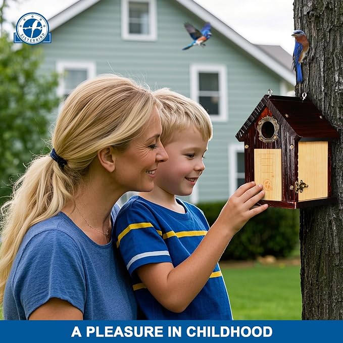 SISTERBIRD Pack of 2 Premium Bluebird Houses for Outside, All Seaons Bird Houses for Outside, Wooden Cabin Birdhouses for Outdoors, Weatherproof Courtyard Decorated Hanging Bird House