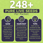Organic Basil Seeds ‘Genovese’ – Two Seed Packets! – Over 496 Open Pollinated Non-GMO Italian Seeds – Sweet Yards Seed Co.