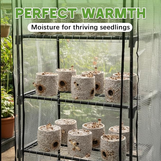 Windyun 5 Tier Extra Tall Mushroom Grow Tent Kit with Light & Timer, 80 x 19 x 27 Inch & 6500k Greenhouse with LED Grow Light, 4" Vents & Built in Humidifier Ports for Indoor Outdoor Mushroom Tent