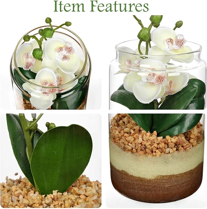 White Orchids Artificial Flowers with Vase, Small Faux Orchid Arrangement Fake Orchids Plant in Terrarium Jar Small White Orchid Centerpieces for Kitchen Dining Room Tables Bathroom Nightstand Decor