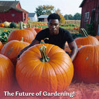 KVITER 25 Big Max Pumpkin Seeds for Planting (Cucurbita Pepo) – Giant Heirloom & Organic Pumpkin Seeds, Up to 100 lbs – Ideal Vegetable Seed Packets for Home Outdoor Garden