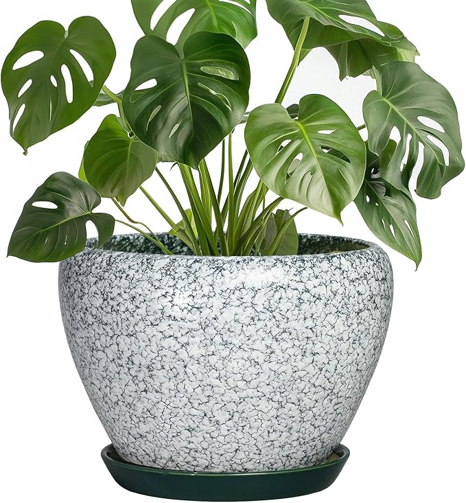 Ceramic Flower Pots - 8 Inch Pots for Plants Indoor Outdoor, Round Plant Pot Indoor with Drainage Hole and Saucer, Modern Decorative Planter, Bedroom Decor, Gardening Gifts, Crackle Green