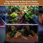 Riare 4LBS Expanded Clay Balls Terrarium Substrate for Reptiles - 100% Organic Lightweight Clay Pebbles Substrate Frogs False Bottom Substrate, Bioactive Terrarium Substrate for Drainage and Moisture