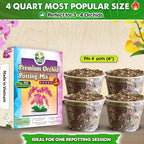 [Upgraded] DUSPRO Orchid Potting Mix for Repotting with Forest Moss, Pine Bark, Perlite & Pumice, Orchid Bark Potting Mix,Orchid Repotting Soil, Drainage Indoor Potting, Orchid Pot Not Included, 4 QT