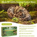 Legigo 14 OZ Sphagnum Moss for Reptile- 16 QT Natural Reptile Moss Terrarium Moss Substrate, Snake Tank Moss Peat Moss Reptile Bedding for Snake, Gecko, Ball Python, Frog and Orchids Plants