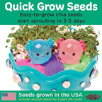 Creativity for Kids Mini Garden: Axolotl