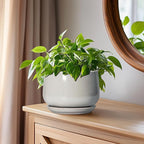 G EPGardening Ceramic Pots for Plants - 6 Inch Plant Pot with Drainage and Ceramic Tray, Modern Succulent Pots, Round Planters for Indoor Plants, Living Room Decor, Gifts for Plant Lovers, Light Grey