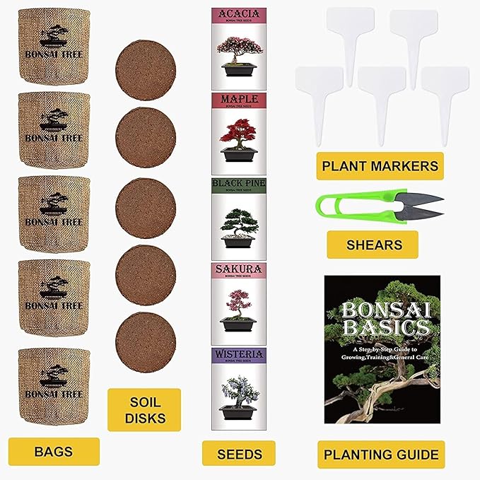 Indoor Starter Kit with Complete Planting Tools, Gardening DIY Gift for Plant Lovers