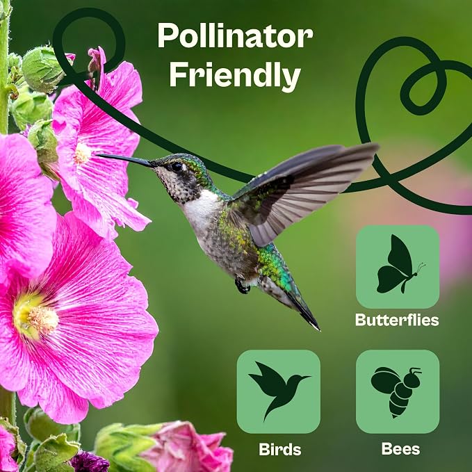 SVI 100 Mix Hollyhock Seeds (Alcea rosea) - Mallow, Common Hollyhock Seed Packets, Attracts Hummingbirds - Heirloom Flower Seeds for Outside & Inside, Meadows, Fences, Beds