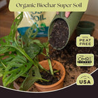 Rosy Soil Aroid Soil Potting Mix - Peat-Free, Microbially Active Biochar Powered Soil for Aroids - Superior Aeration & Drainage for Aroid Plants - Ideal for Indoor Gardening - 4 Quarts