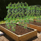 Nexum Cucumber Trellis for Raised Bed, 63"x47.2" U-Shape Garden Trellis for Climbing Plants Outdoor with Climbing Net, Metal Arch Plant Support for Cucumbers Tomatoes Peas Beans