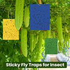 Qualirey 100 Pcs 6 x 8 Inch Sticky Traps for Plant Double Sided Sticky Trap for Gnats with Twist Ties Fly Traps for Fruit Insect Fungus Bugs Indoor Outdoor (Yellow,Blue,Green)