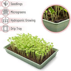 Mr. Pen-Plastic Growing Trays, 5 Pack, Plant Tray, Seed Tray, Propagation Tray