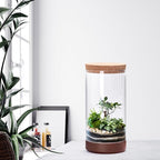 Clear Glass Houseplant Terrarium Planter, 6" W x 12" H, Cylindrical Terrarium with Wooden Base & Cork Lid | Versatile Tabletop Decoration for Home or Office or Hydroponics (Plant Not Included), 41-A-L