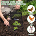 10 Pcs 9.13"×9.13" Chicken Wire Cloche Plant Covers Garden Netting Metal Heavy Duty Plant Protectors from Animals for Keeping Bunnies Chicken Squirrels Birds Other Out