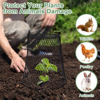 20 Pcs 9"×9" (Multiple Sizes/Quantities Available) Chicken Wire Plant Protectors from Animals, Plant Cage Garden Cloche to Protect Plants Vegetables from Rabbits Squirrels Chicken