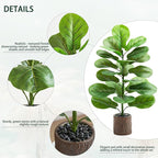 2 Pack Artificial Fiddle Leaf Fig Tree 30in, Faux Fig Trees Floor Plant in Pot Fake Ficus Lyrata Plant, Table Top Plant with Fiddle Leaves for Indoor Outdoor Home, Office, Living Room, Bathroom Decor