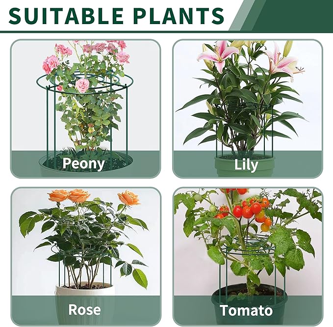SYITCUN 8pack Peony Cages and Supports, 12 x 24 Inch Four Legs Peony Cage, Heavy-Duty Peonies Support Cages, Peony Ring for Roses, Hydrangeas, Sage, Peonies, Cucumbers, Tomato