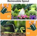 Metal Watering Can for Outdoor Plants, 1 Gallon Galvanized Steel Watering Can with Removable spout for Outdoor & Indoor Use, Perfect for Garden Flower, Houseplants, Forest Green