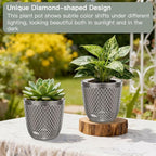 QCQHDU 2 Pack Self Watering Pots, 5.7 Inch Flower Pots with Drainage Holes and Water Filling Port, Garden Planter for Indoor Outdoor Plants (Gray)