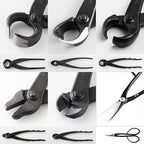 Wazakura Made in Japan 6PCS Bonsai Professional Tool Kit with Roll Bag: Japanese Yasugi Steel Satsuki Bonsai Scissors, Concave Branch Cutter, Knob Cutter, Jin Plier, Wire Cutter, Root Cutter