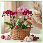 90Pcs Orchid Clips for Plants Support Plant Orchid Support Clips Portable Cute Vine Clip for Support Garden Plant Flower Vine, Mix Color