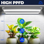 Barrina Grow Lights, 2FT 5000K White Full Spectrum Plant Growing Lamps, 144W(6 x 24W, 800W Equivalent), T8 LED Grow Light Bulbs, Plant Lights for Indoor Plants, Greenhouse, Linkable Design, 6-Pack