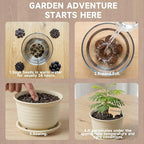 Bonsai Tree Starter Kit, Jacaranda Bonzai Kit, Indoor Bonsai Trees Plant Seeds with Drainage Design Pots, Gardening Gifts for Women, High-Value Plant Gifts