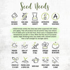 Seed Needs Tomato Seeds for Planting Indeterminate True Beefsteak Tomatoes - Non-GMO Heirloom & Untreated Vegetable Seed to Plant a Home Grown Outdoor Veggie Garden (1 Pack)
