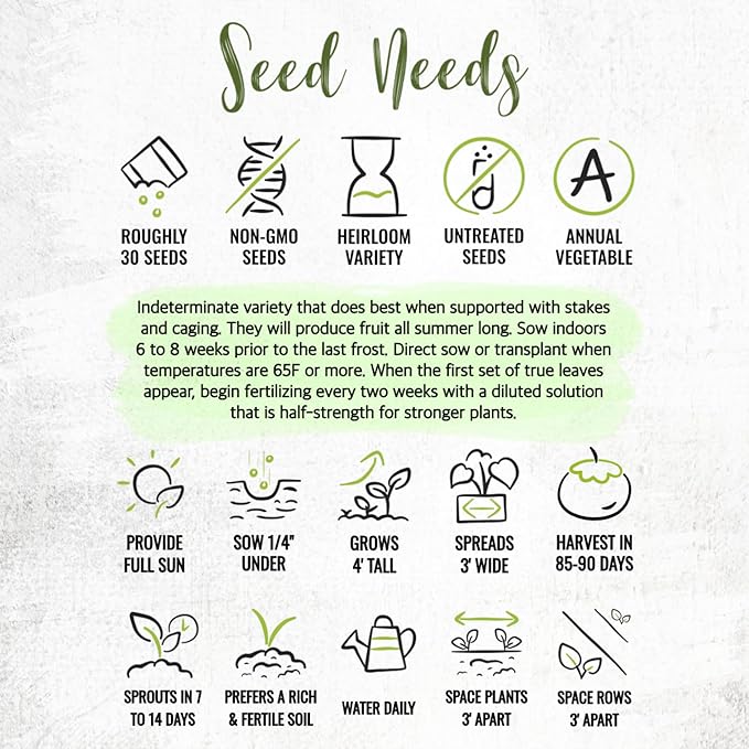 Seed Needs Beefsteak Tomato Seeds for Planting Indeterminate Tomatoes - Non-GMO Heirloom & Untreated Vegetable Seed to Plant a Home Grown Outdoor Veggie Garden (2 Packs)