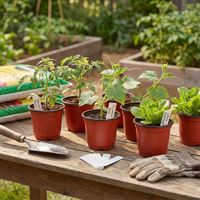 100 Pack 4 Inch Plastic Nursery Pots, Seed Starter Pots with Drainage Holes, Small Plant Containers for Seedlings, Seed Starting Flower Pots with 100 Plant Labels