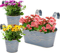 PerGar Vintage Metal Iron Wall Hanging Flower Pots, Rustic Planter Bucket Herb Flower Plant Holder with Detachable Hooks & Drainage Hole for Railing Fence Balcony Deck Garden Home Decoration, Set of 3