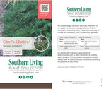 Chef's Choice Rosemary (2.5 Quart) Fragrant Evergreen Cooking Herb/Shrub - Full Sun Live Outdoor Plant
