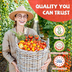 10 Heirloom Tomato Seed Varieties Packet - Non-GMO, Open Pollinated Seeds for Planting Home Garden - Beefsteak, Roma, San Marzano, Cherokee Purple, Cherry Tomato & More