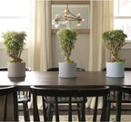 Bloem Mathers Planter w/Saucer Tray 8" Misty Blue (Pack of 3)
