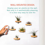 MITIME air plant holder, small air plant display stand. Wall mount to save space, wall decoration. (Plants not included) (Set of 6)