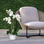Serene Spaces Living White Realistic Phalaenopsis Orchids in Pot, Artificial Potted Flowers - Beautiful Entryway Vase, Foyer Table Décor, Measures 26" Tall & 5" Diameter, Set of 6