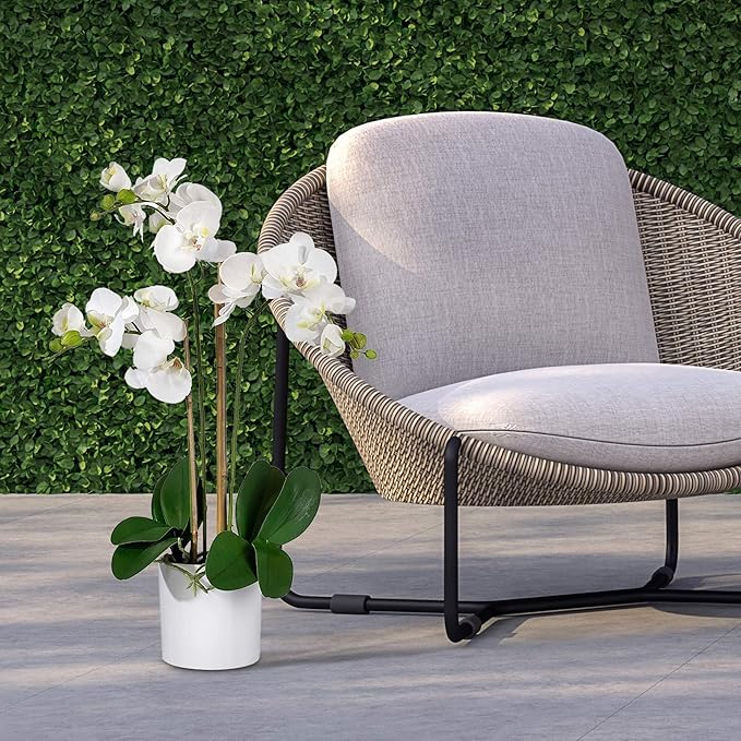 Serene Spaces Living White Realistic Phalaenopsis Orchids in Pot, Artificial Potted Flowers - Beautiful Entryway Vase, Foyer Table Décor, Measures 26" Tall & 5" Diameter, Set of 6