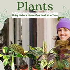 Calathea Assorted Starter Pack - Calathea Live Plants 5 Pack in 2 inch Pot- Pet Safe Air Purifying Indoor House Plants Flowers for Home Office Wedding Decor & Birthday Gift (Heat Pack Included)