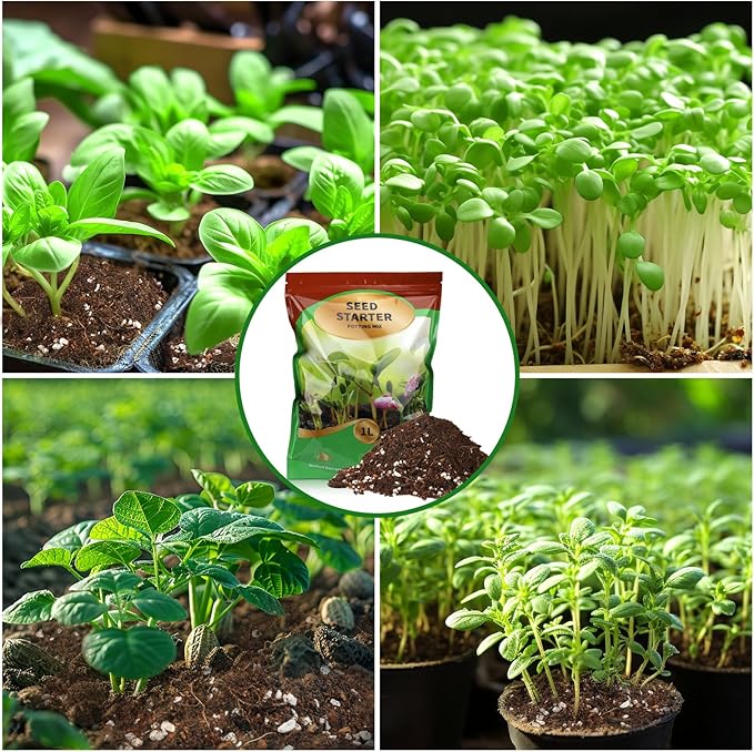Doter Seed Starter Potting Soil Mix 2qt, Seed Starting Mix for Germination and Growth, Loamy Compost Well-Drainaged Soil Fit for Vegetable, Flower, houseplant